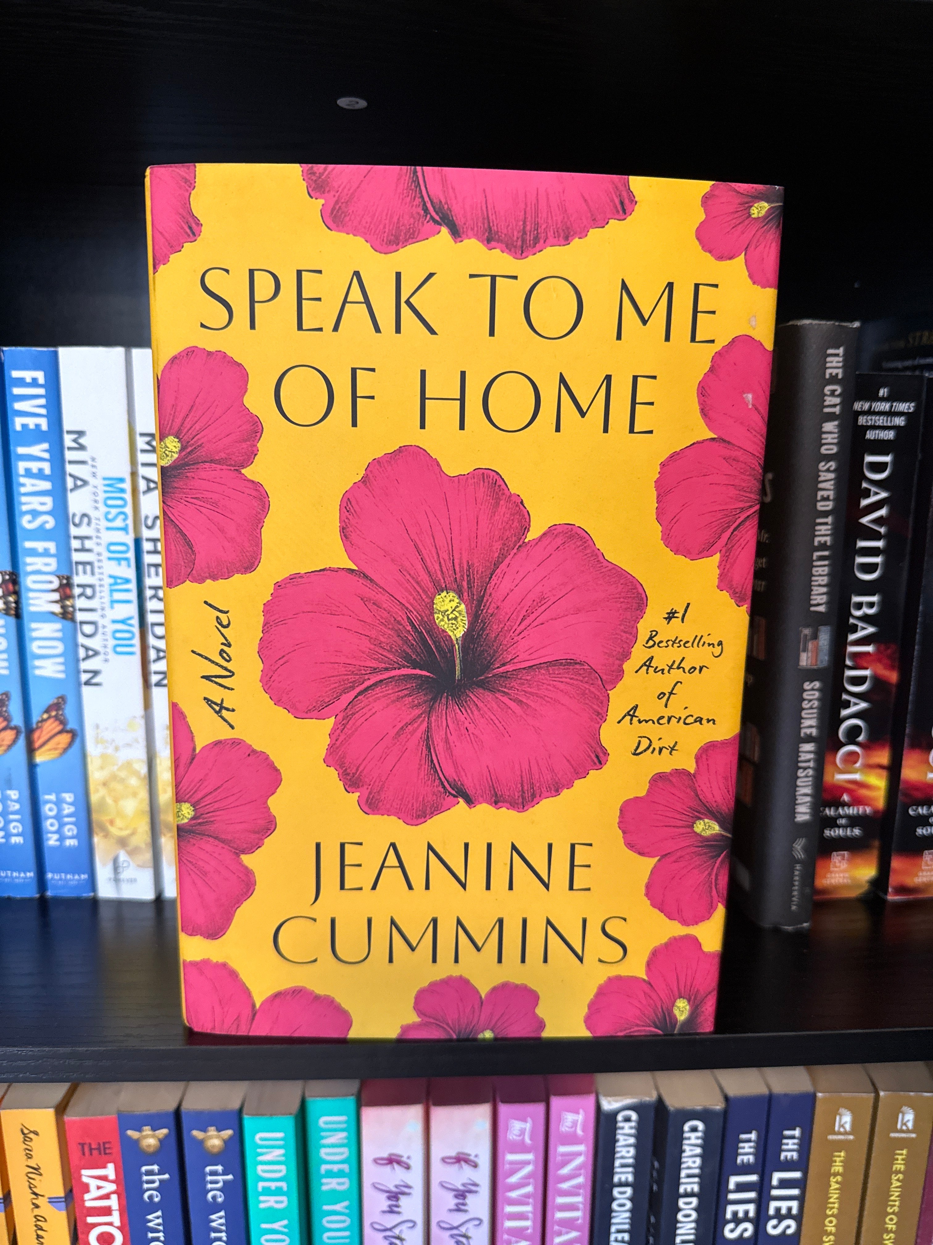 Speak To Me Of Home by Jeanine Cummins