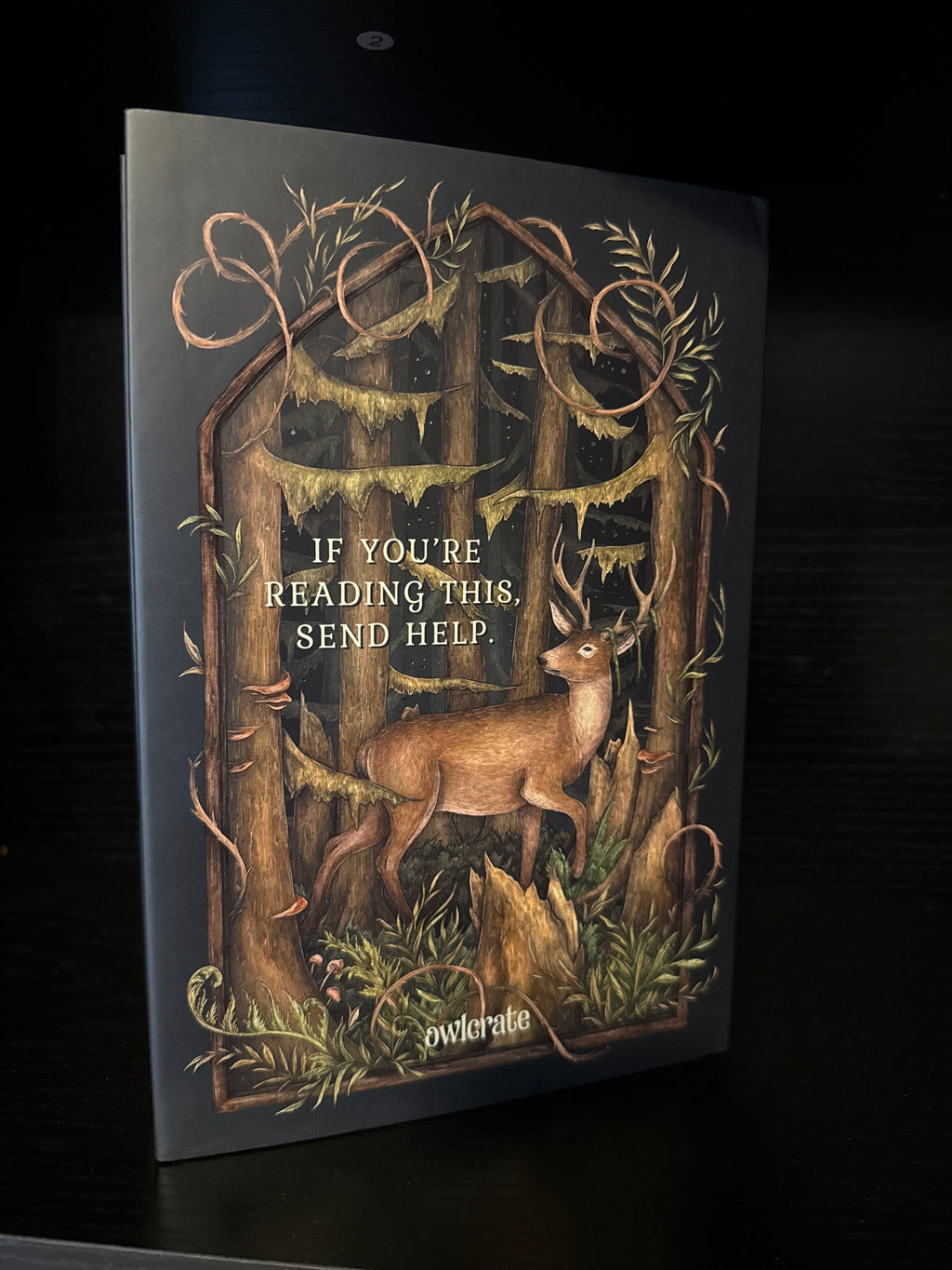 What the Woods Took - Owlcrate