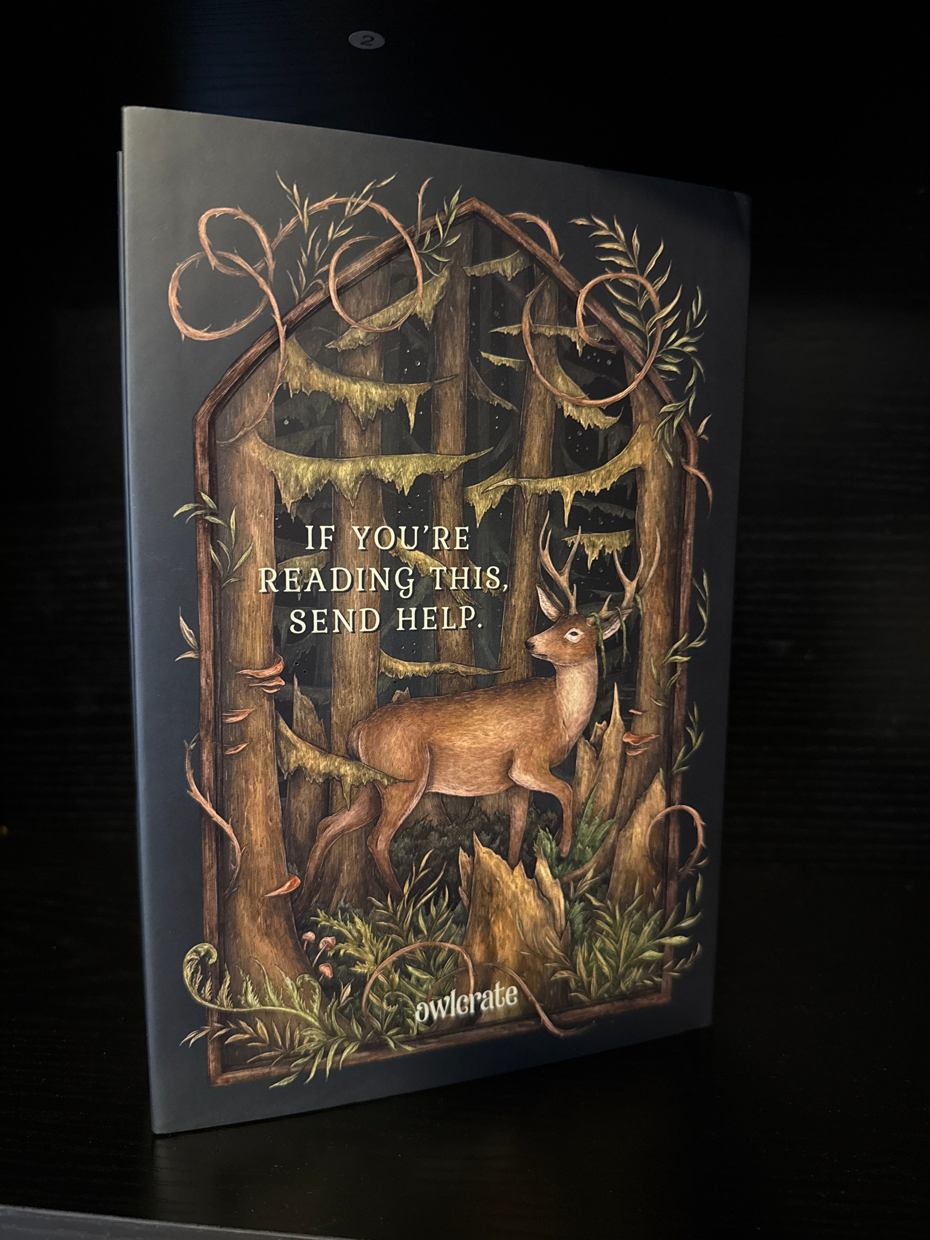 What the Woods Took - Owlcrate
