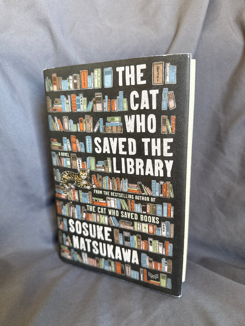 The Cat Who Saved The Library by Sosuke Natsukawa