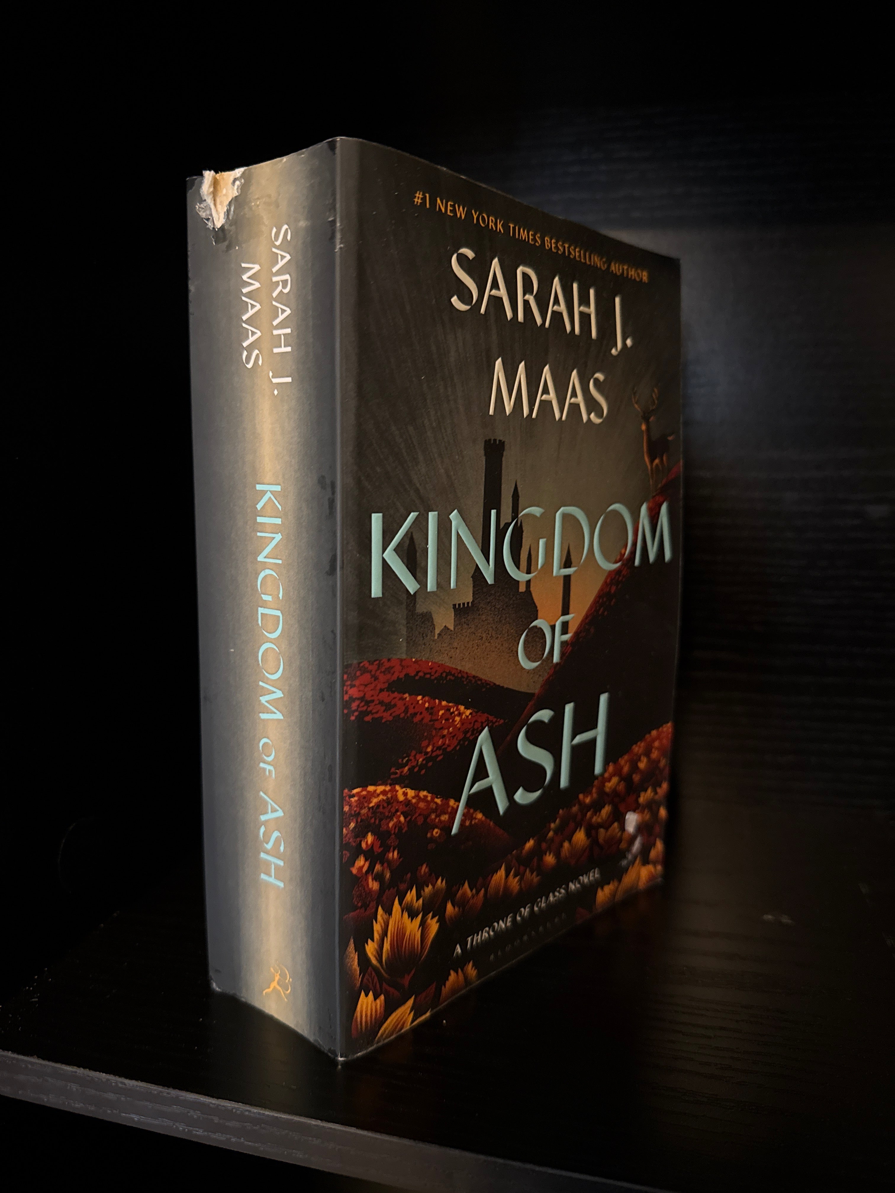 Kingdom of Ash
