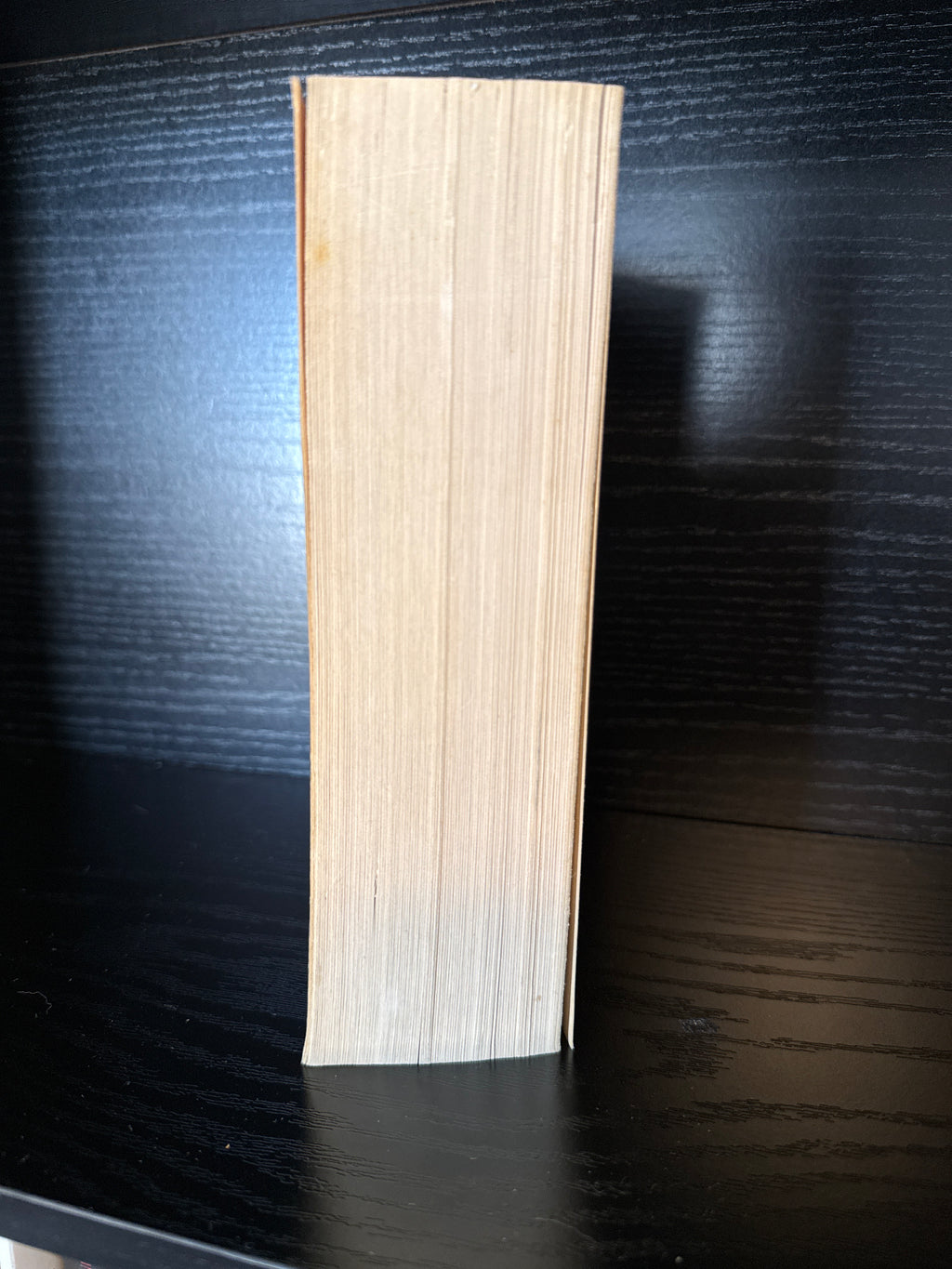 The Forbidden Game - used