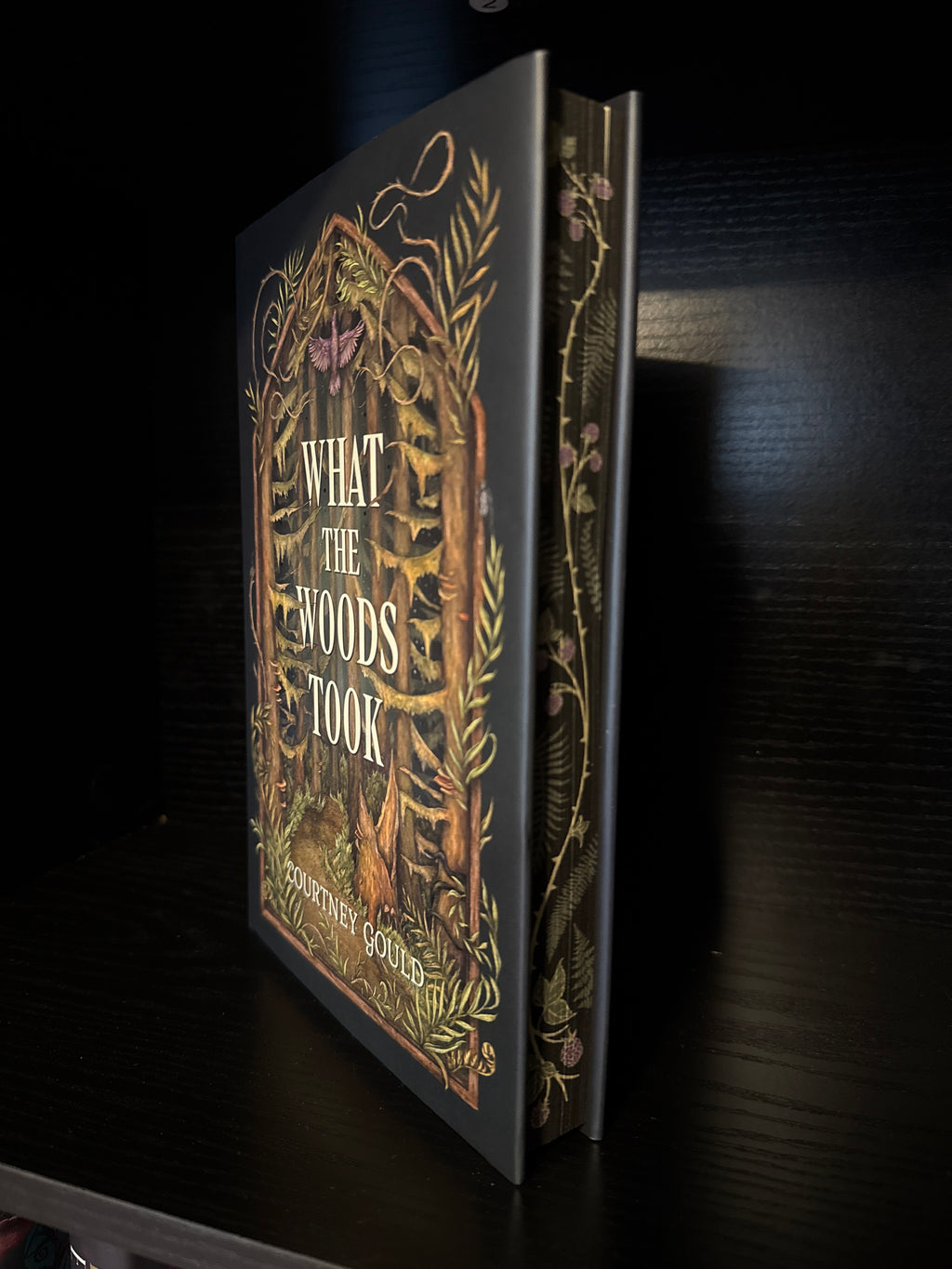 What the Woods Took - Owlcrate