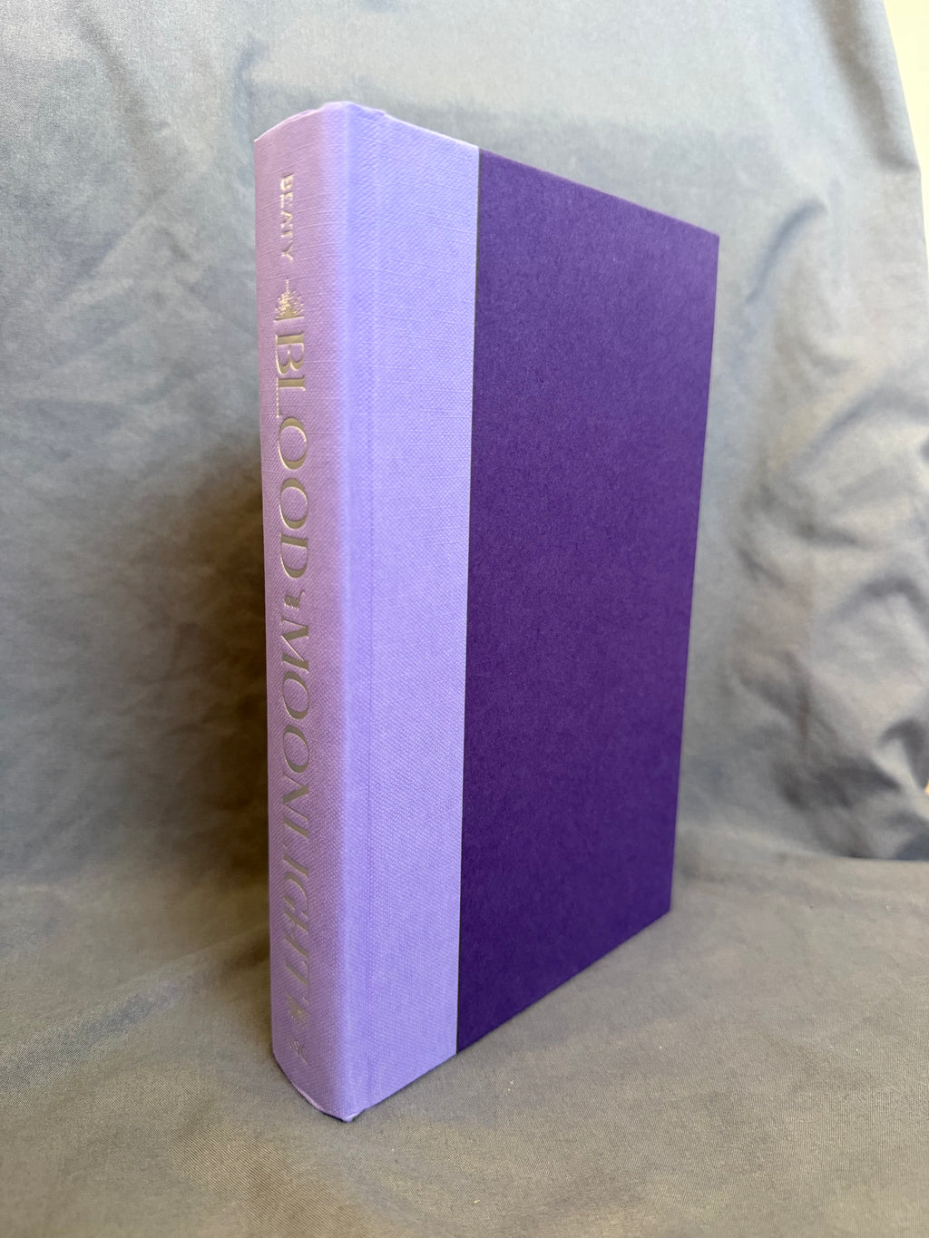 Blood and Moonlight by Erin Beaty